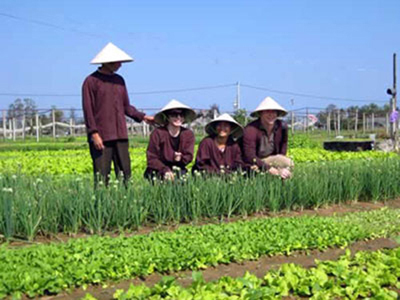 Tra Que, vegetable village tour in hoi an, vietnam